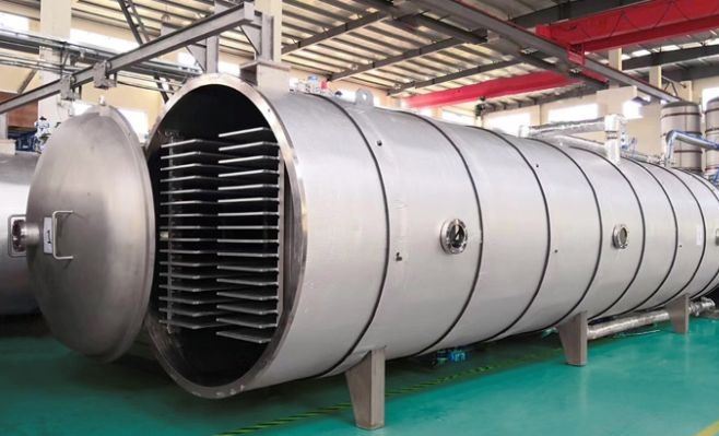 Equipamento de liofilização Longan liofilizado