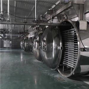 Máquina de liofilização para petiscos de carne bovina