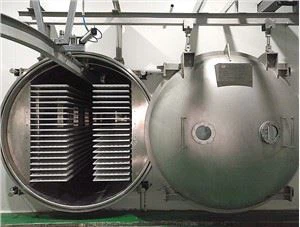 Secador de congelamento médio de alimentos com capacidade de 400 kg