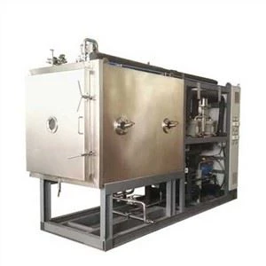 Equipamento de liofilização Secador de congelamento de leite de frutas